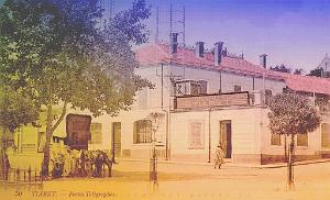 Tiaret 600